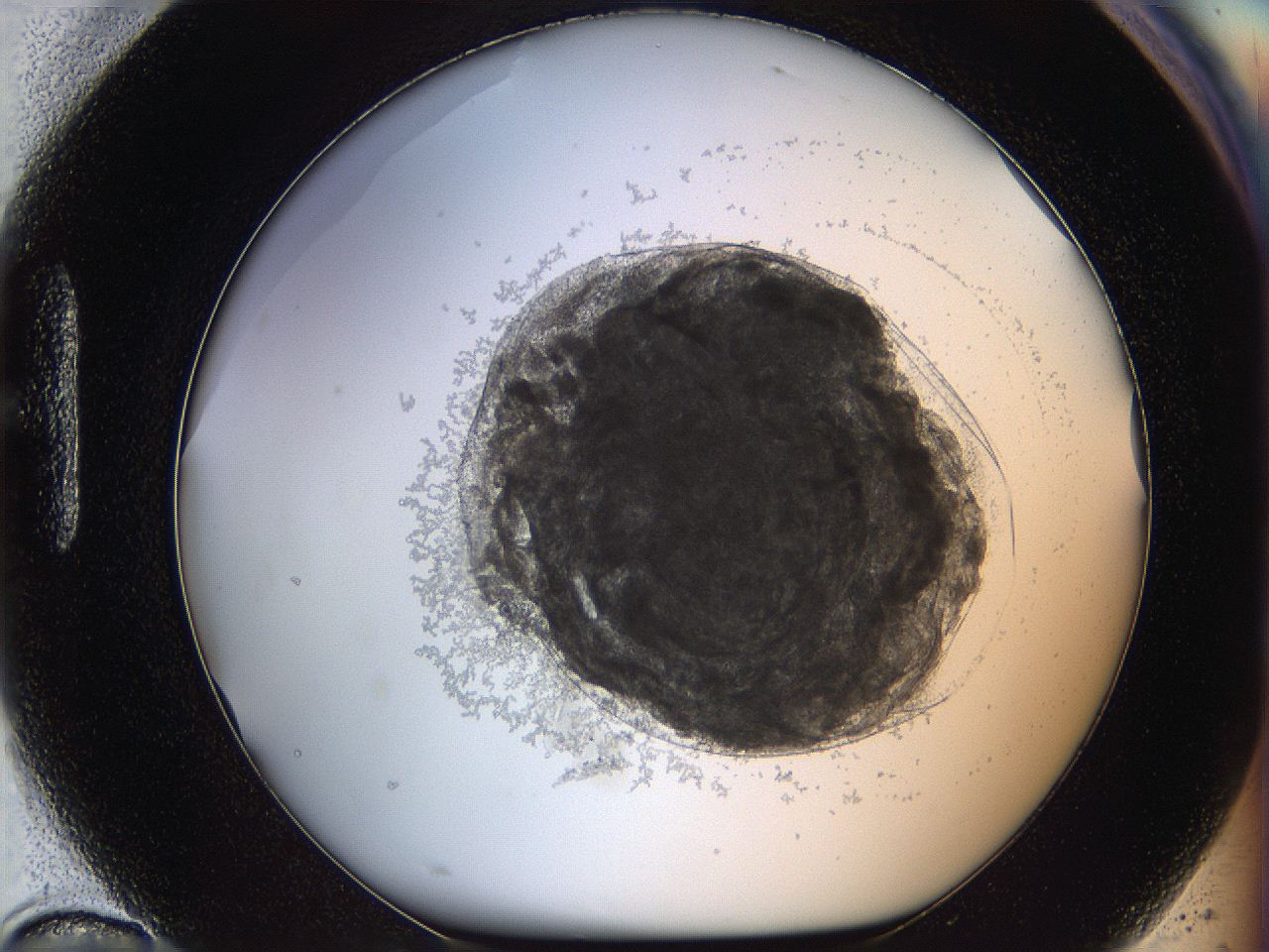 068d_H10_ImagerDefaults_3.jpg