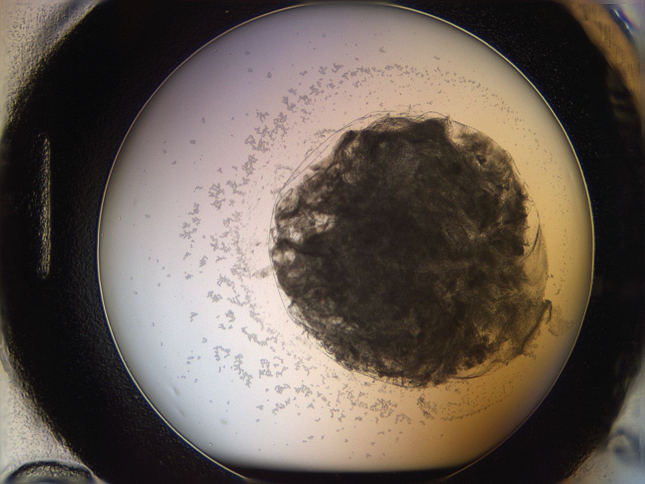 068d_H12_ImagerDefaults_3.jpg