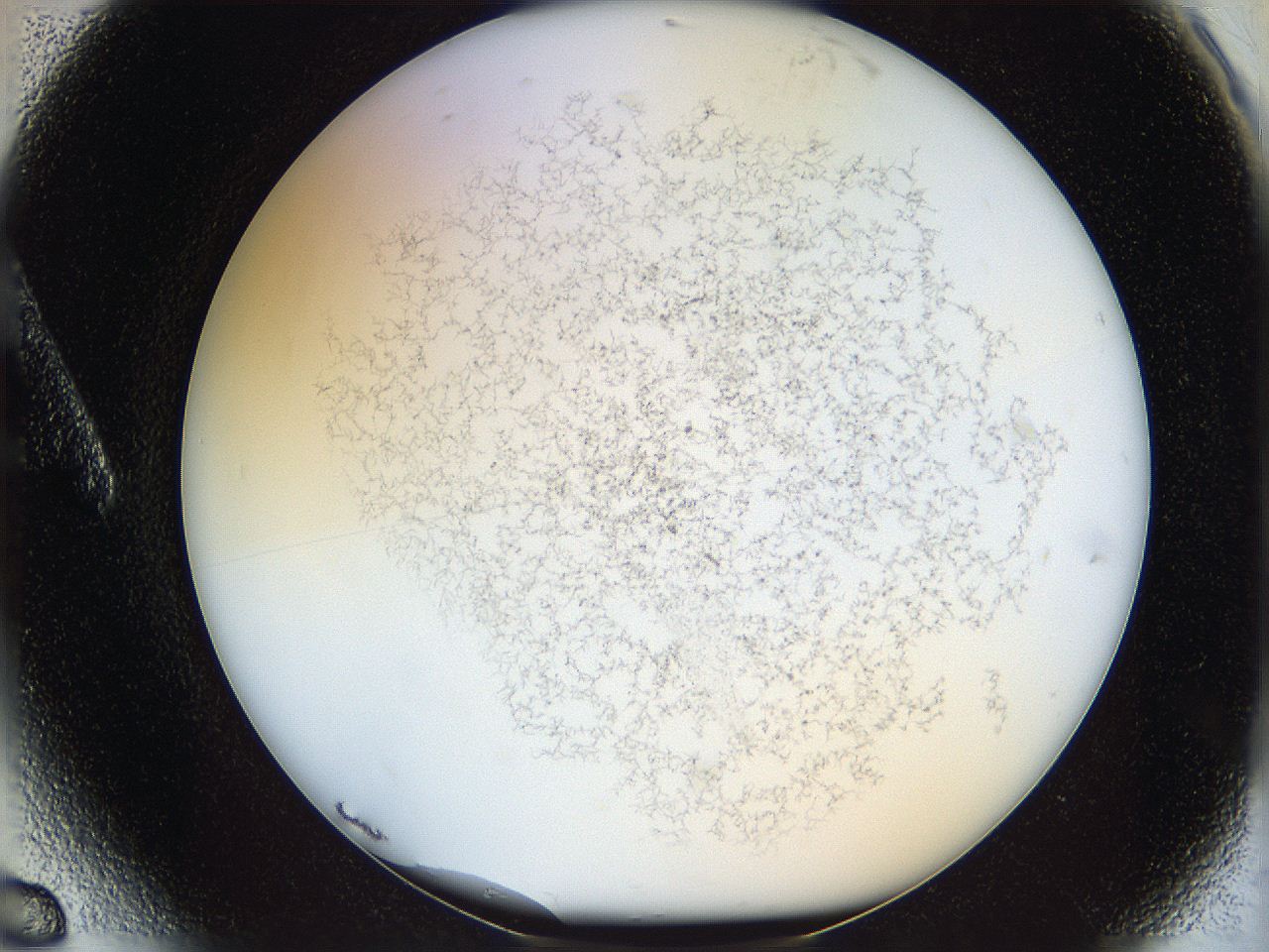 068e_A6_ImagerDefaults_6.jpg