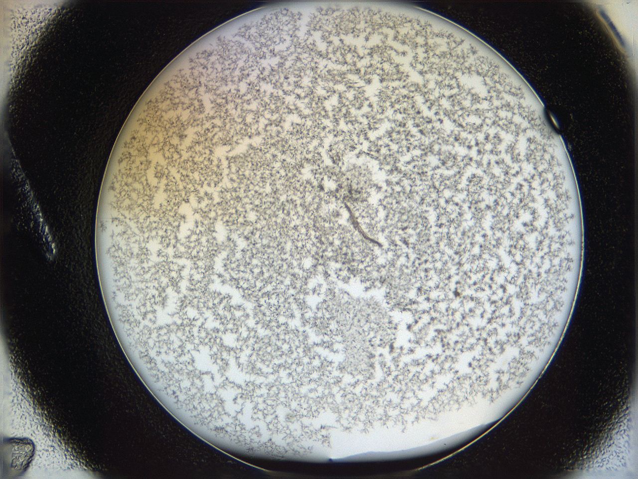 068e_A7_ImagerDefaults_6.jpg