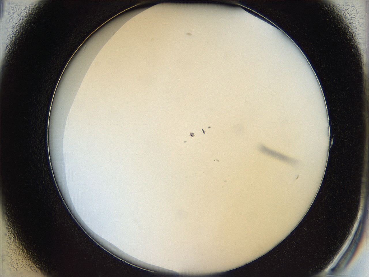 068e_A1_ImagerDefaults_0.jpg