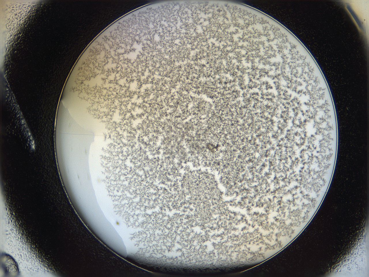 068e_A8_ImagerDefaults_6.jpg