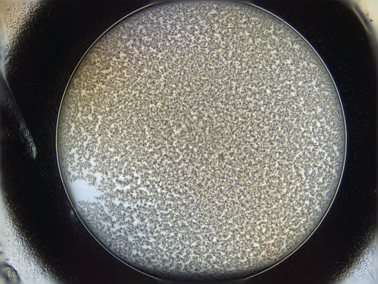 068e_A9_ImagerDefaults_6.jpg