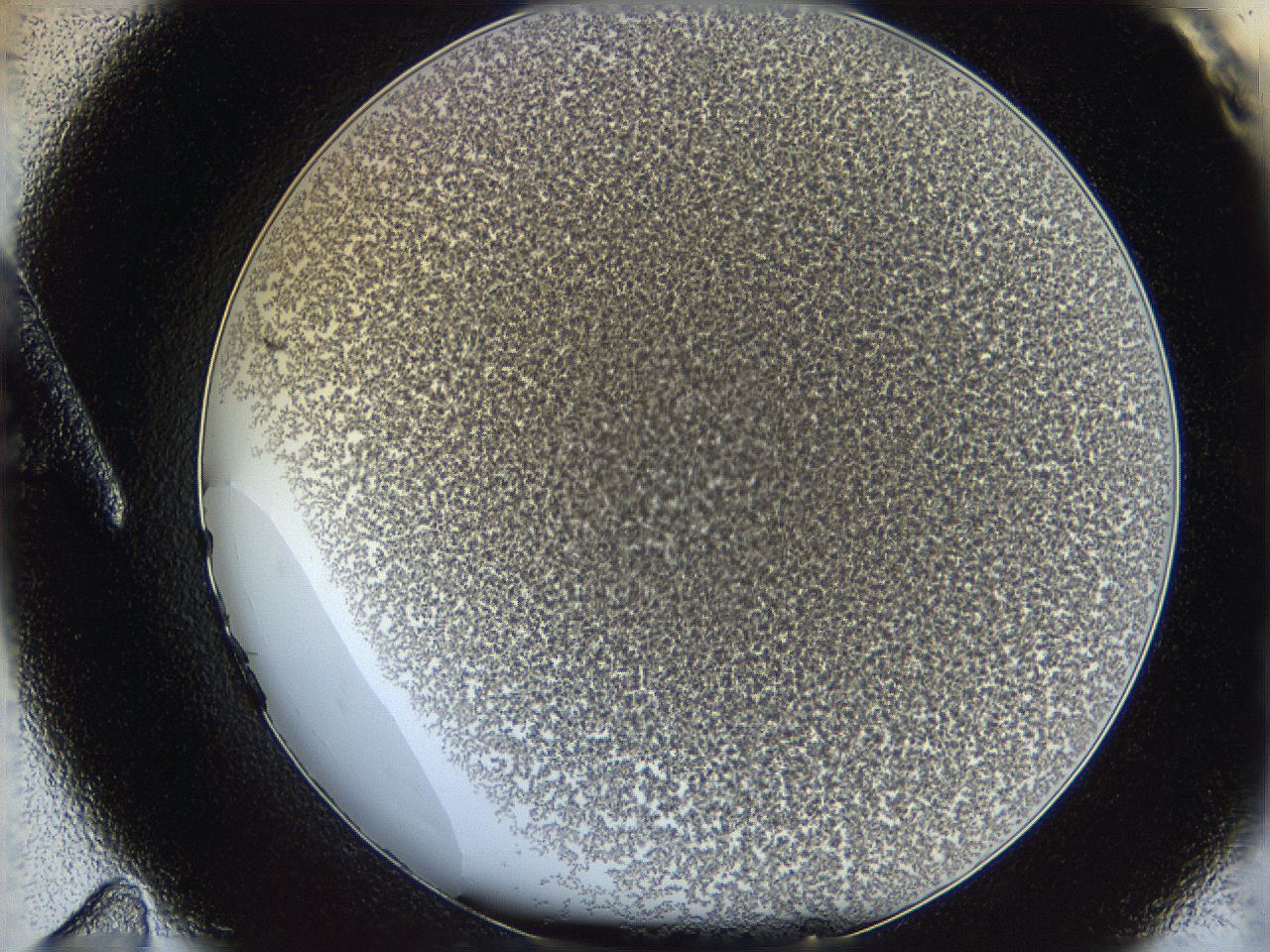 068e_A11_ImagerDefaults_4.jpg