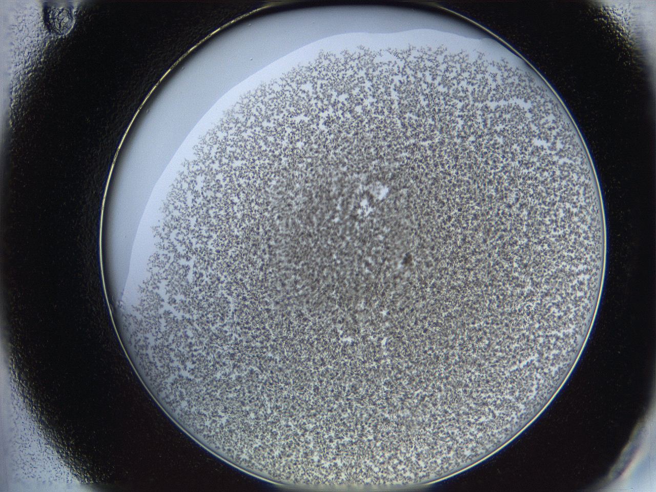 068e_A11_ImagerDefaults_6.jpg