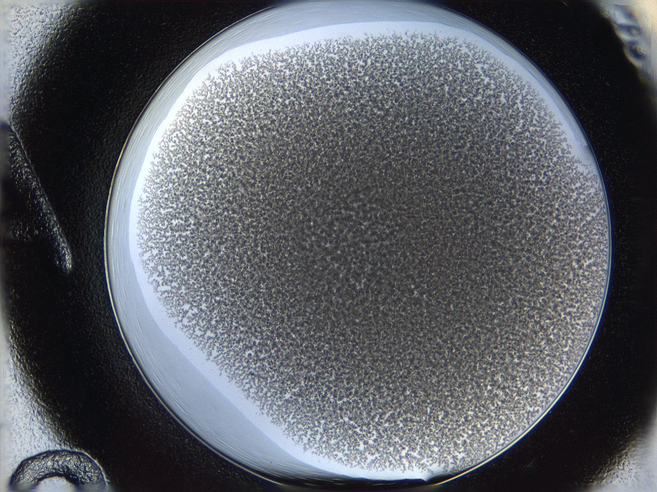 068e_A12_ImagerDefaults_4.jpg