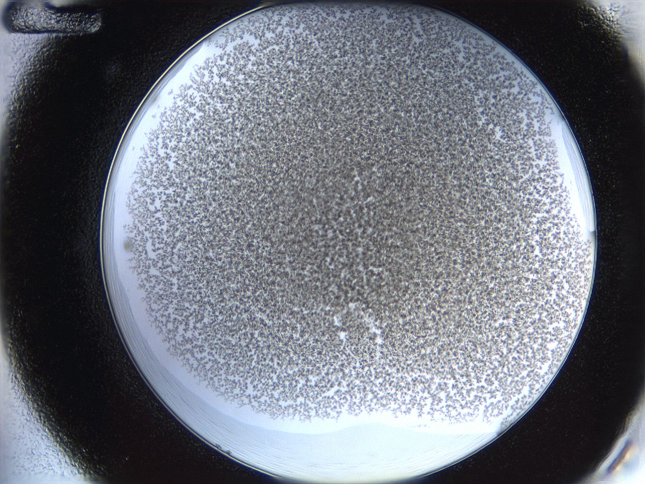 068e_A12_ImagerDefaults_3.jpg