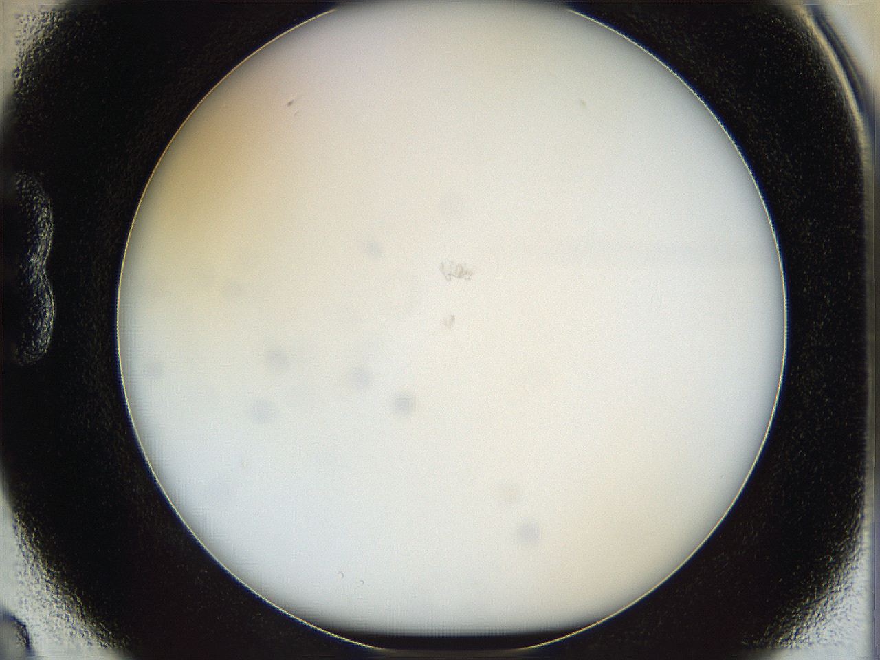 068e_B3_ImagerDefaults_0.jpg