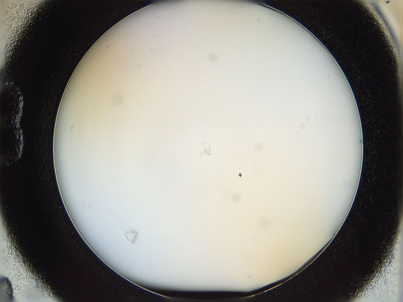 068e_B4_ImagerDefaults_0.jpg