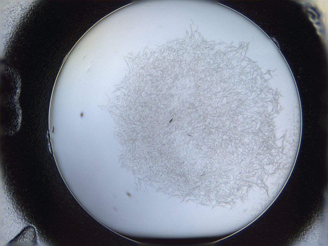 068e_B11_ImagerDefaults_9.jpg