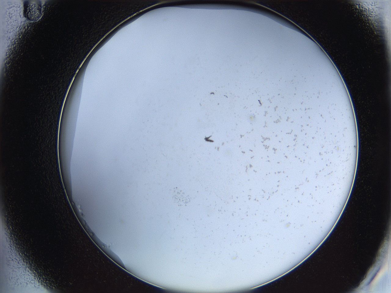 068e_B11_ImagerDefaults_0.jpg