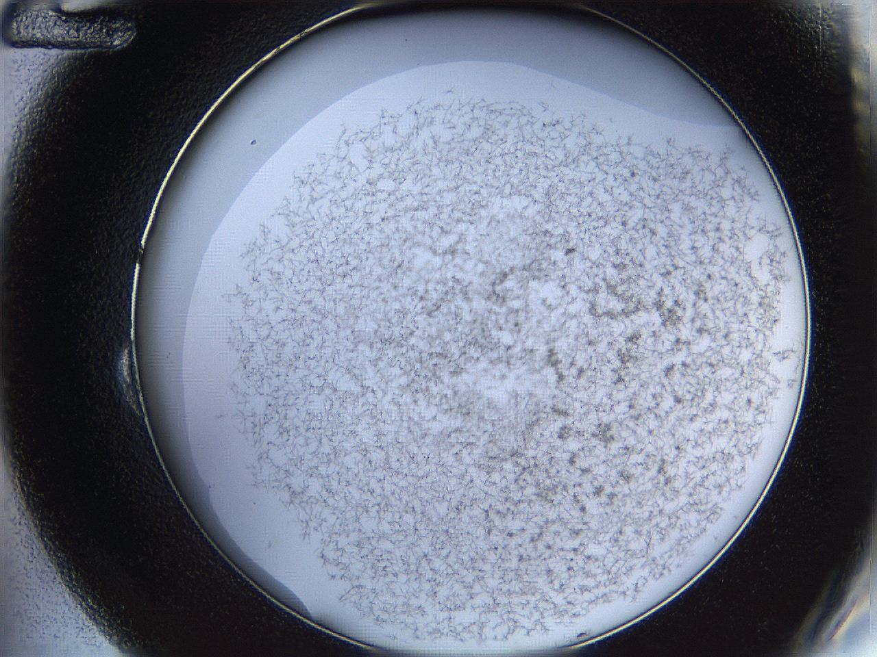 068e_B12_ImagerDefaults_6.jpg