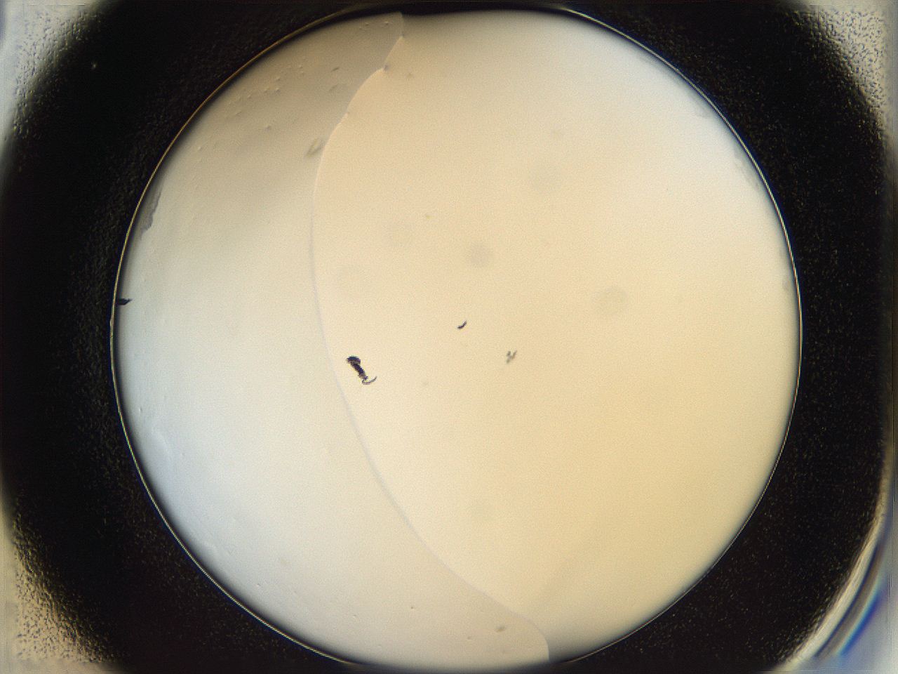068e_C1_ImagerDefaults_0.jpg