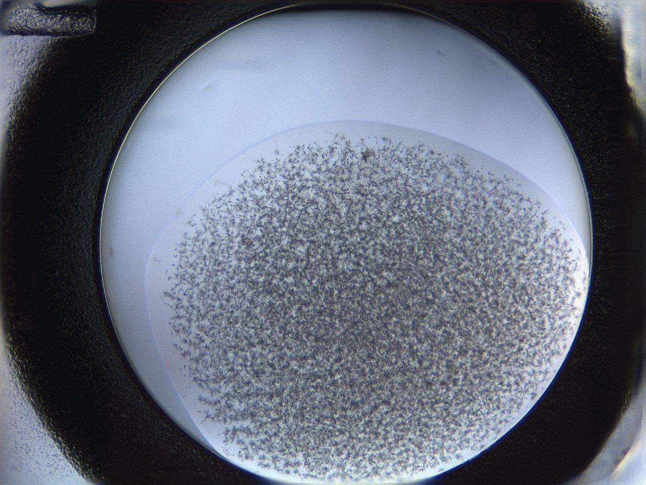 068e_C12_ImagerDefaults_6.jpg