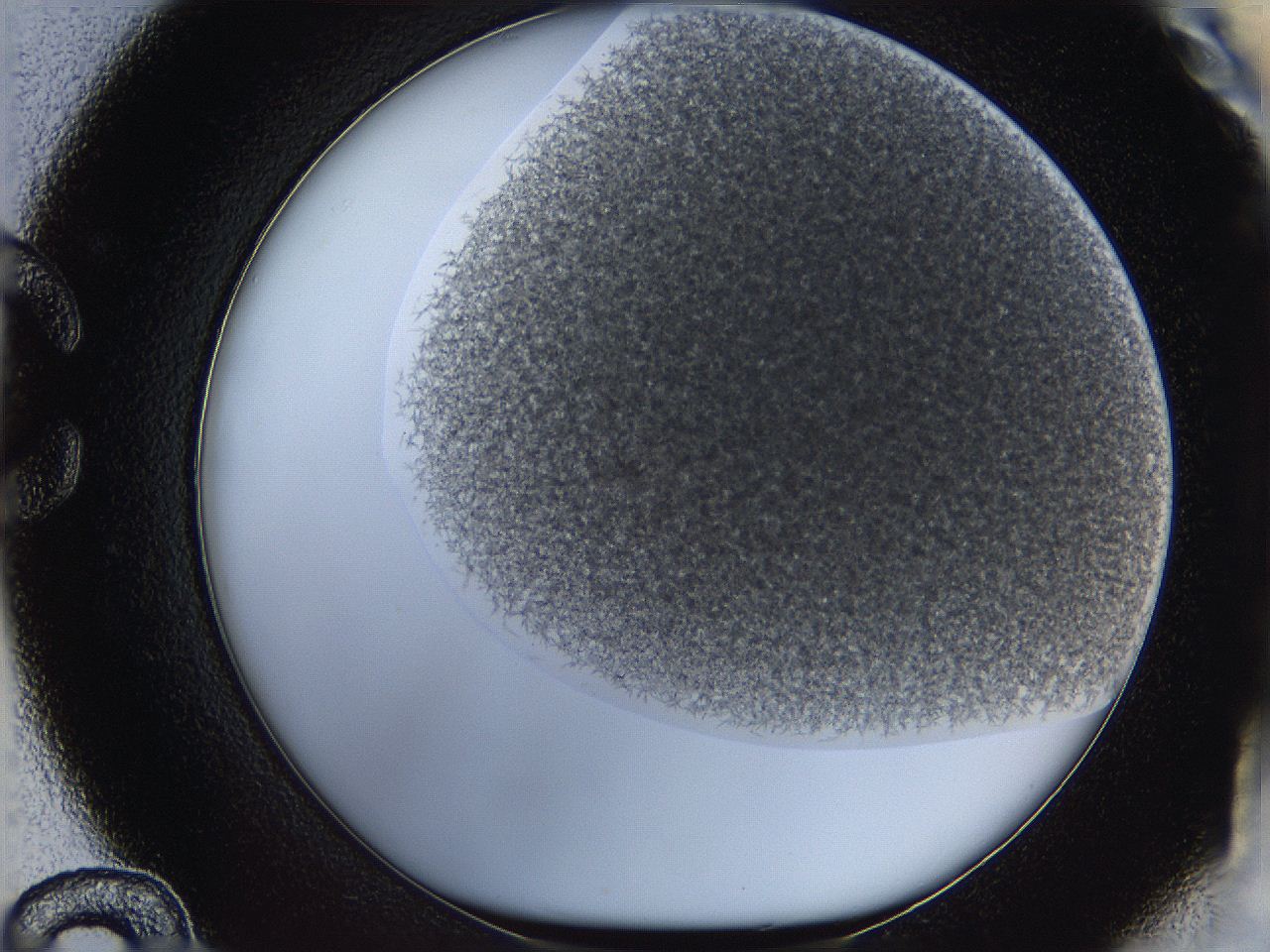 068e_C12_ImagerDefaults_9.jpg