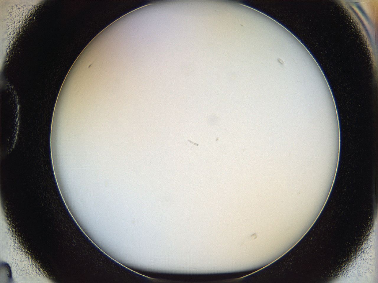 068e_D4_ImagerDefaults_0.jpg