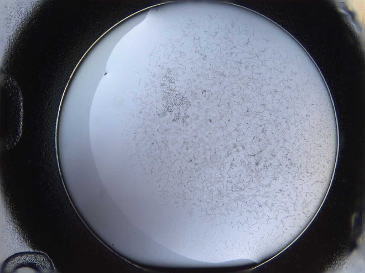 068e_D12_ImagerDefaults_0.jpg