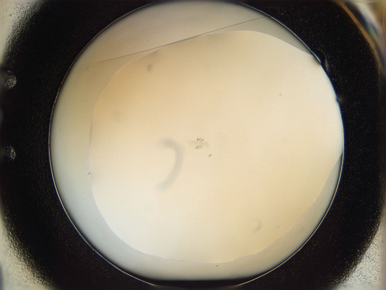 068e_E1_ImagerDefaults_0.jpg