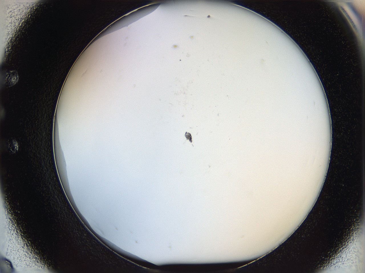 068e_E8_ImagerDefaults_0.jpg