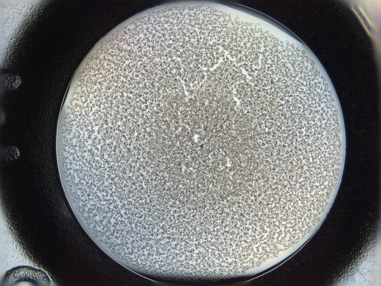 068e_E10_ImagerDefaults_4.jpg