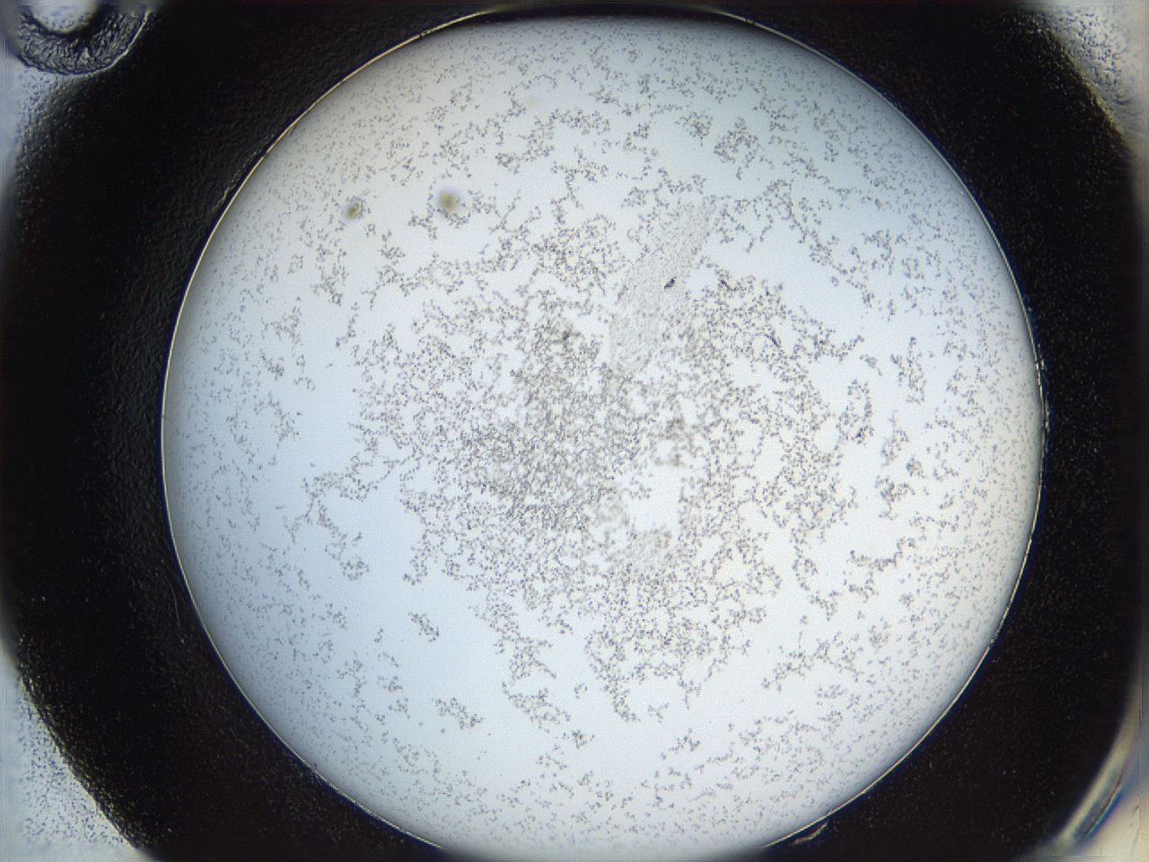068e_E10_ImagerDefaults_6.jpg
