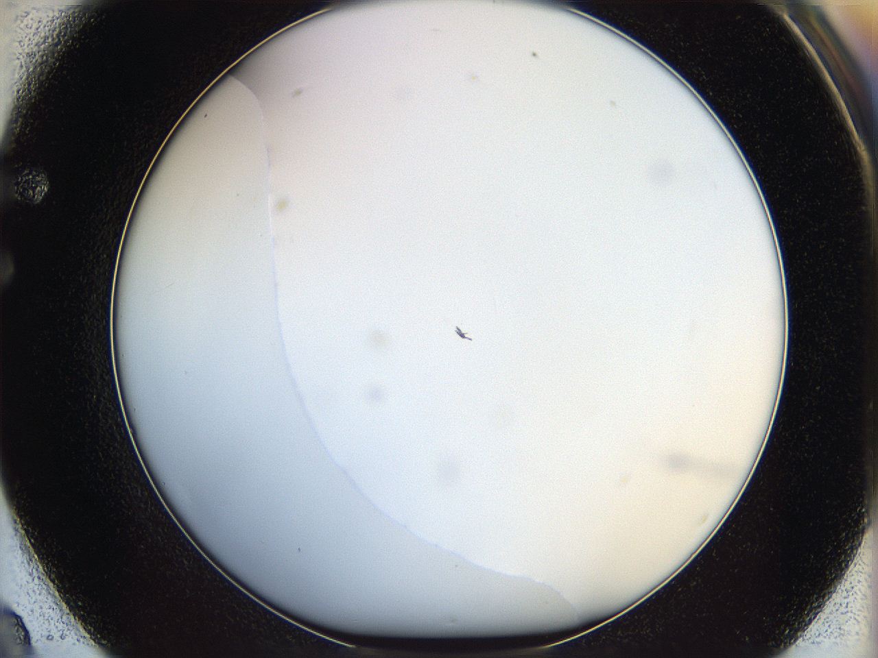 068e_F2_ImagerDefaults_0.jpg