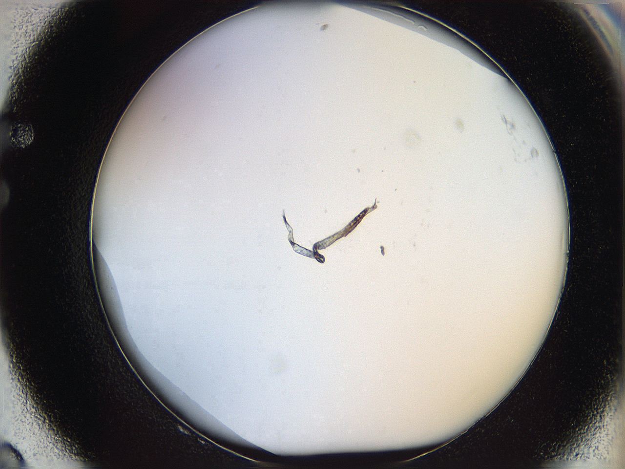 068e_F8_ImagerDefaults_0.jpg