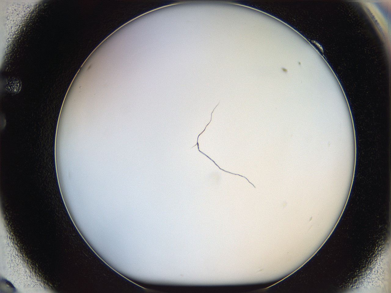 068e_F9_ImagerDefaults_0.jpg