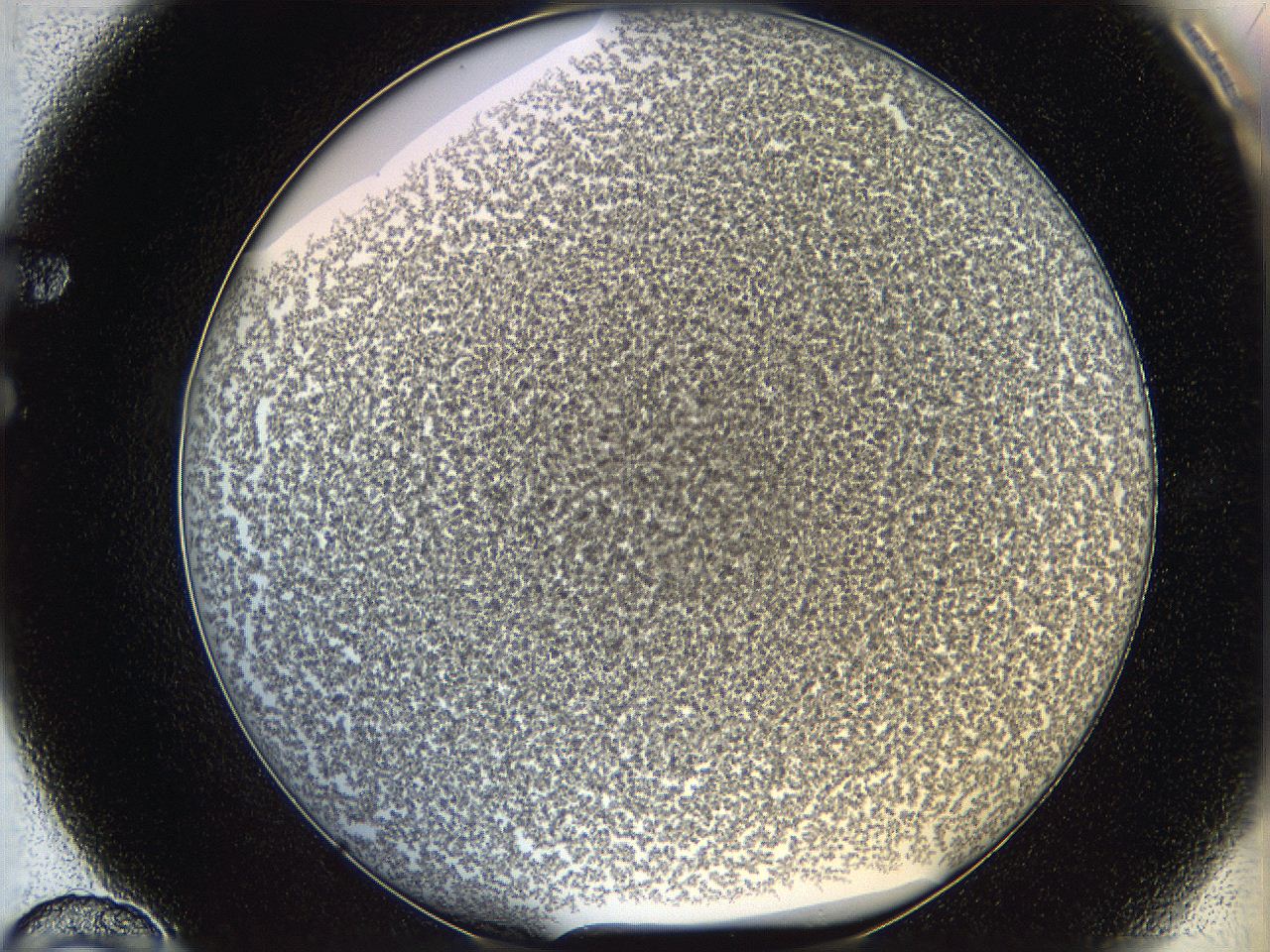 068e_F10_ImagerDefaults_6.jpg