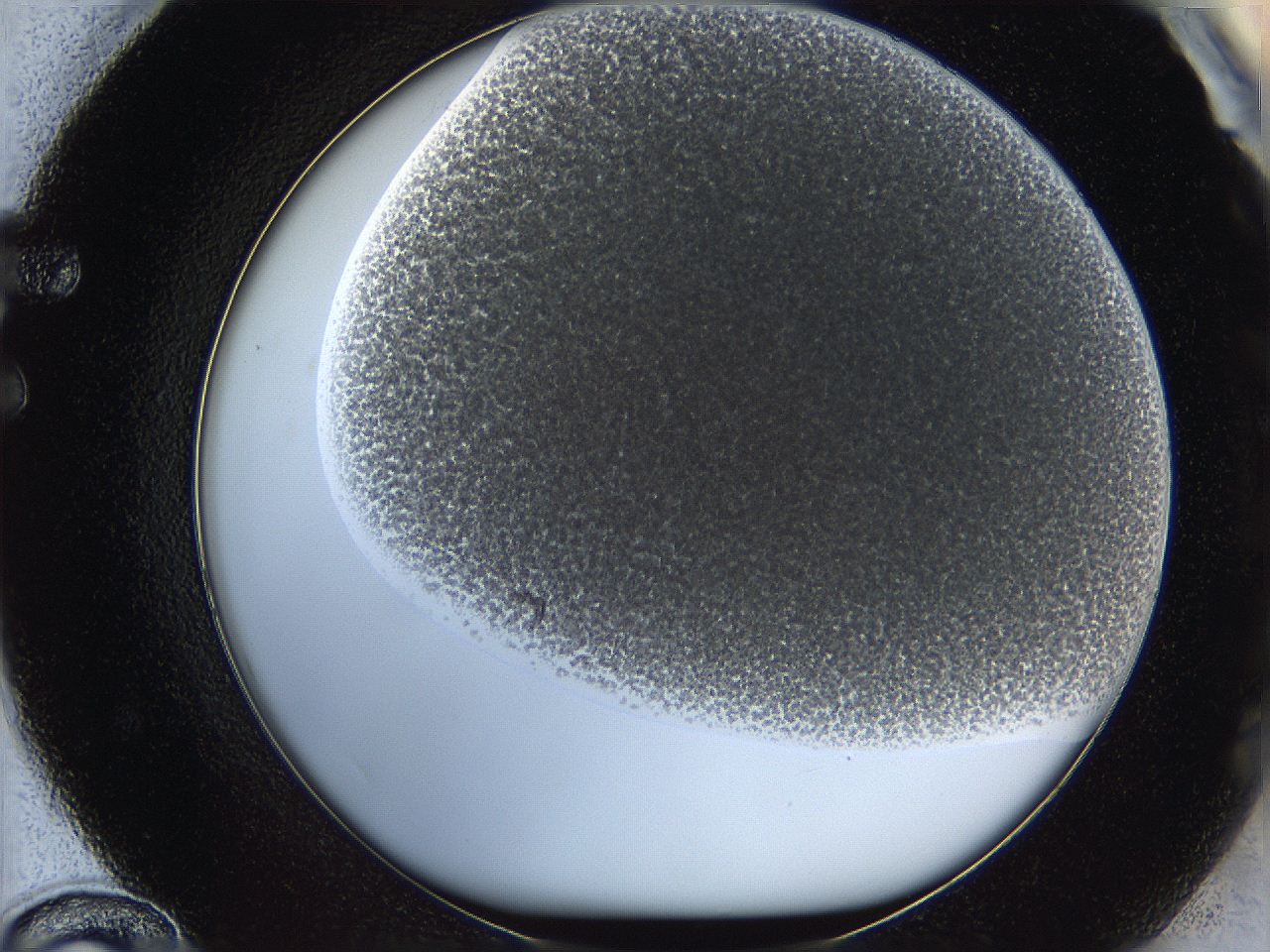 068e_F12_ImagerDefaults_4.jpg