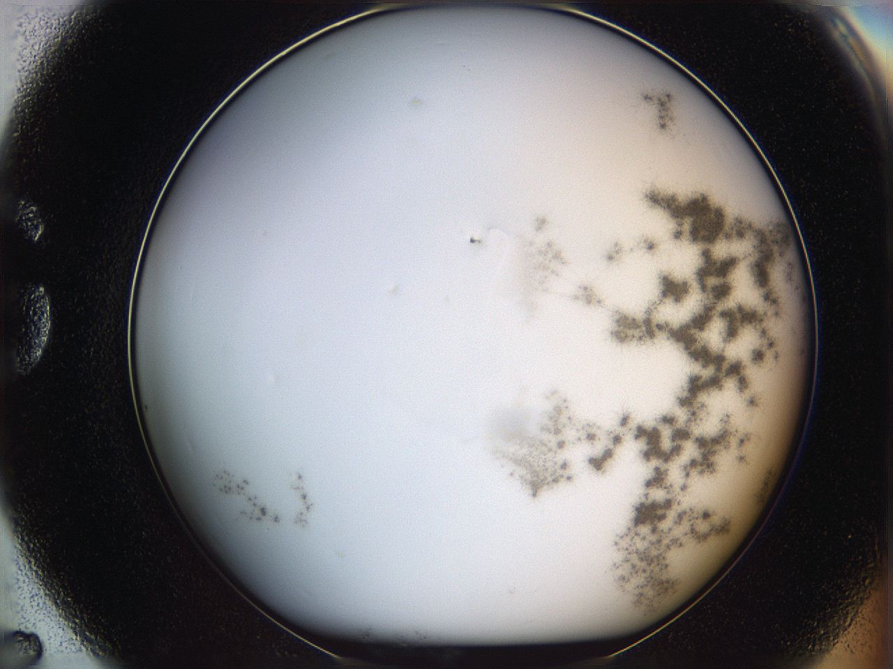068e_G7_ImagerDefaults_0.jpg