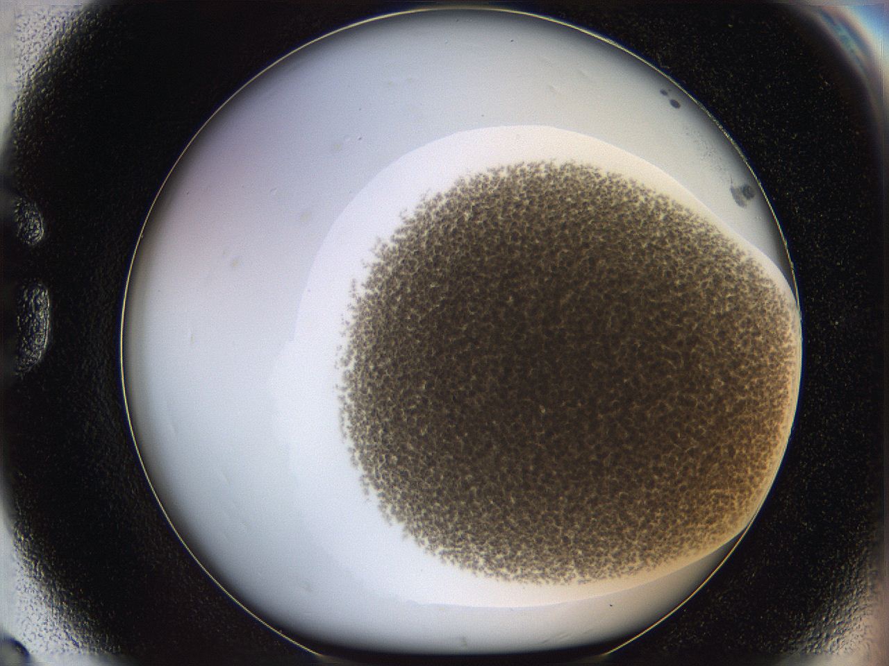 068e_G8_ImagerDefaults_3.jpg