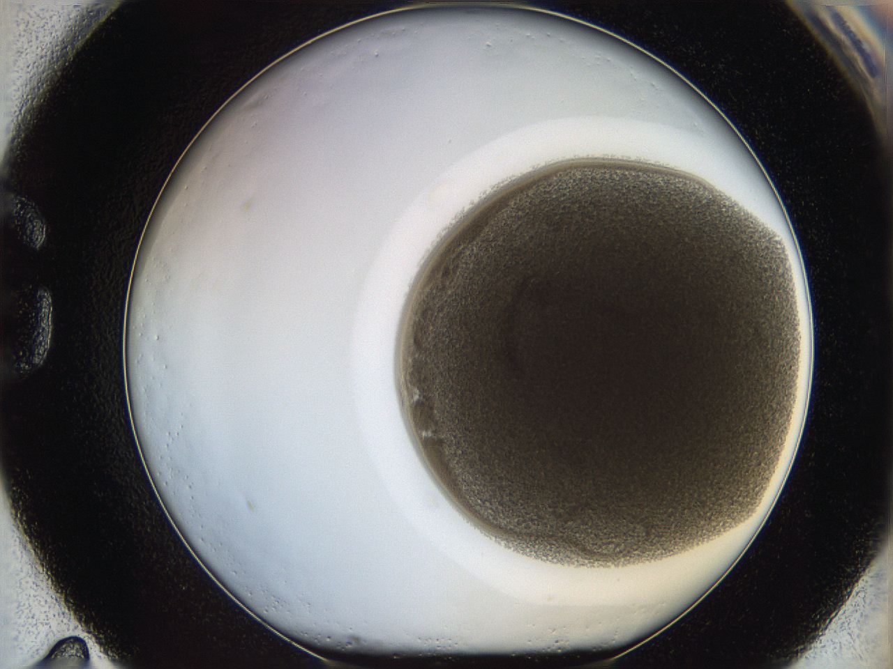 068e_G11_ImagerDefaults_3.jpg