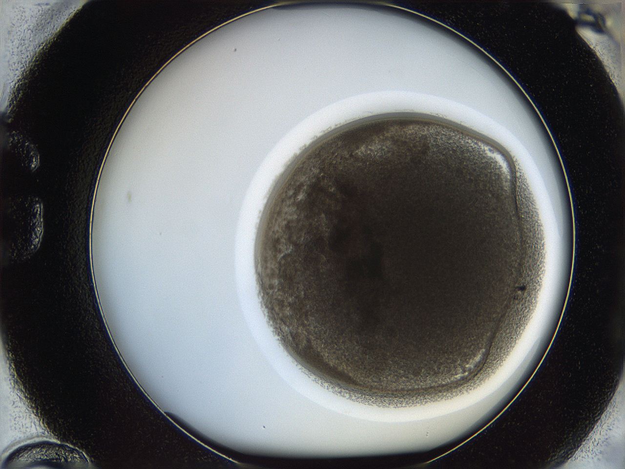 068e_G12_ImagerDefaults_3.jpg