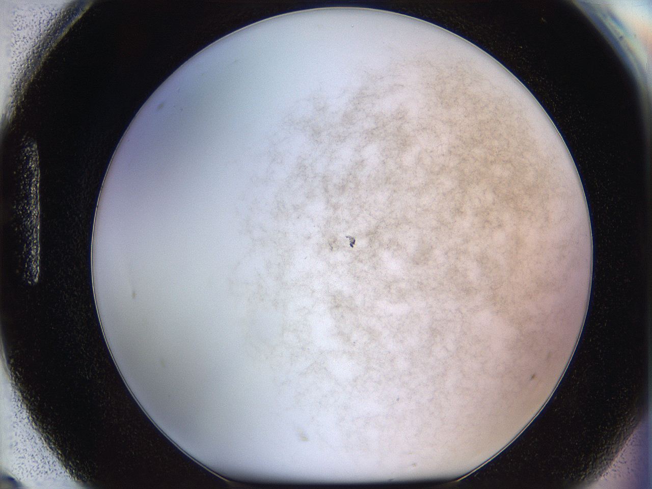 068e_H8_ImagerDefaults_0.jpg