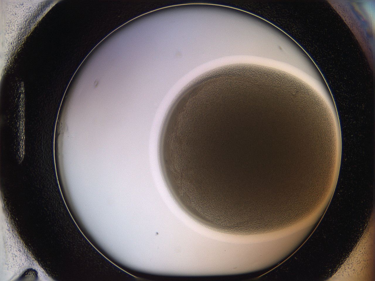 068e_H11_ImagerDefaults_3.jpg