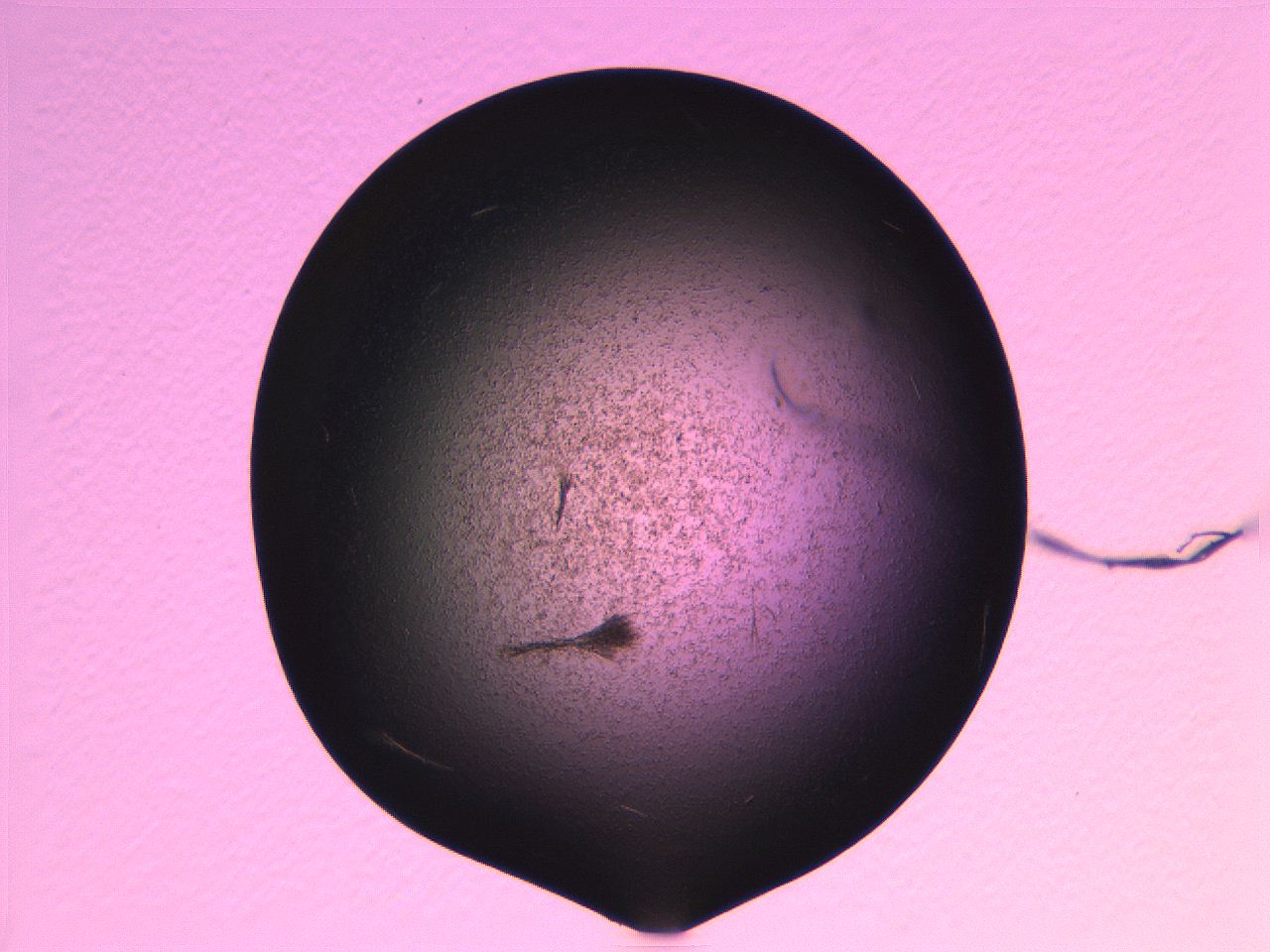 068g_H5_ImagerDefaults_7.jpg