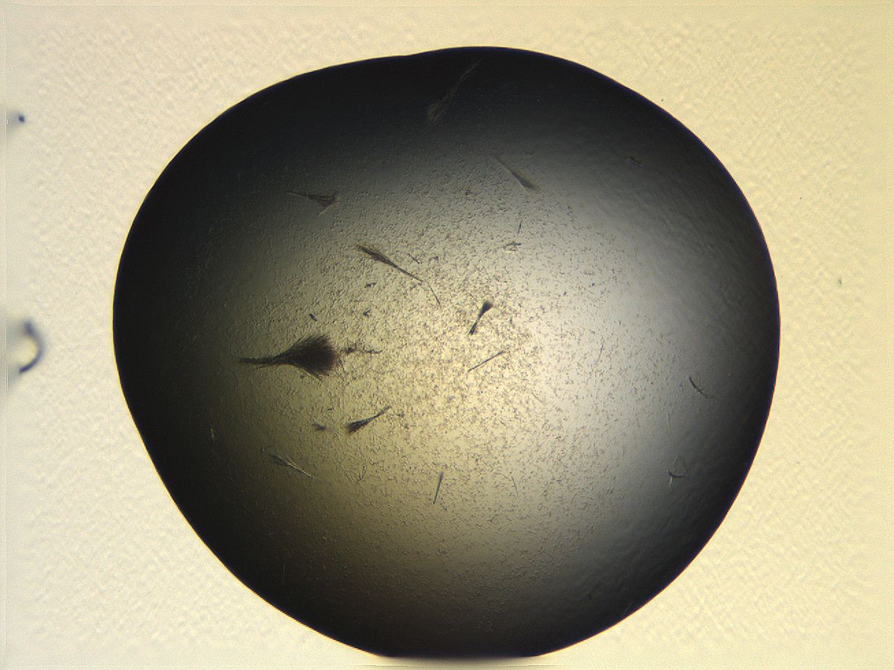 068g_E4_ImagerDefaults_7.jpg