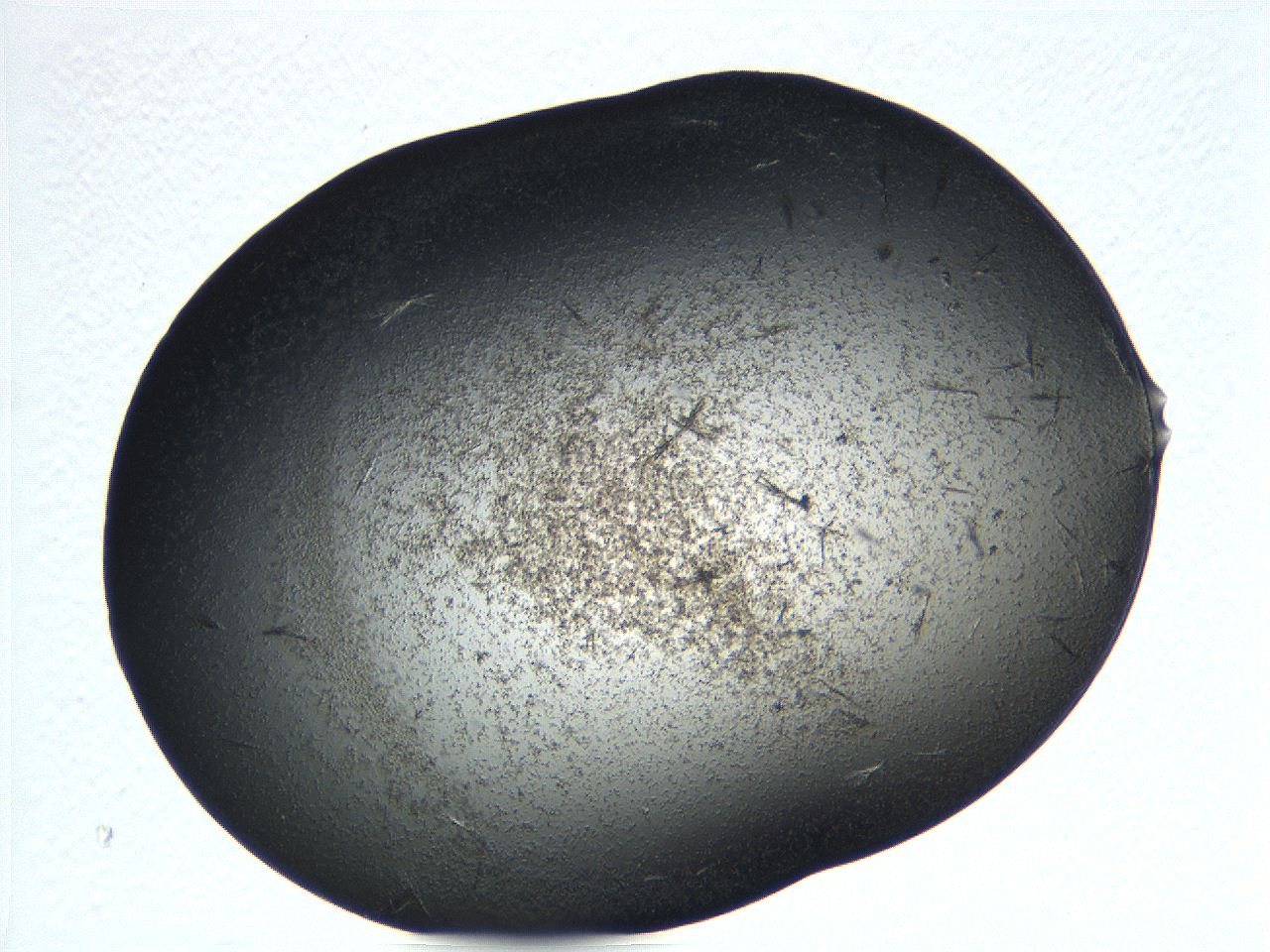 068g_D7_ImagerDefaults_7.jpg