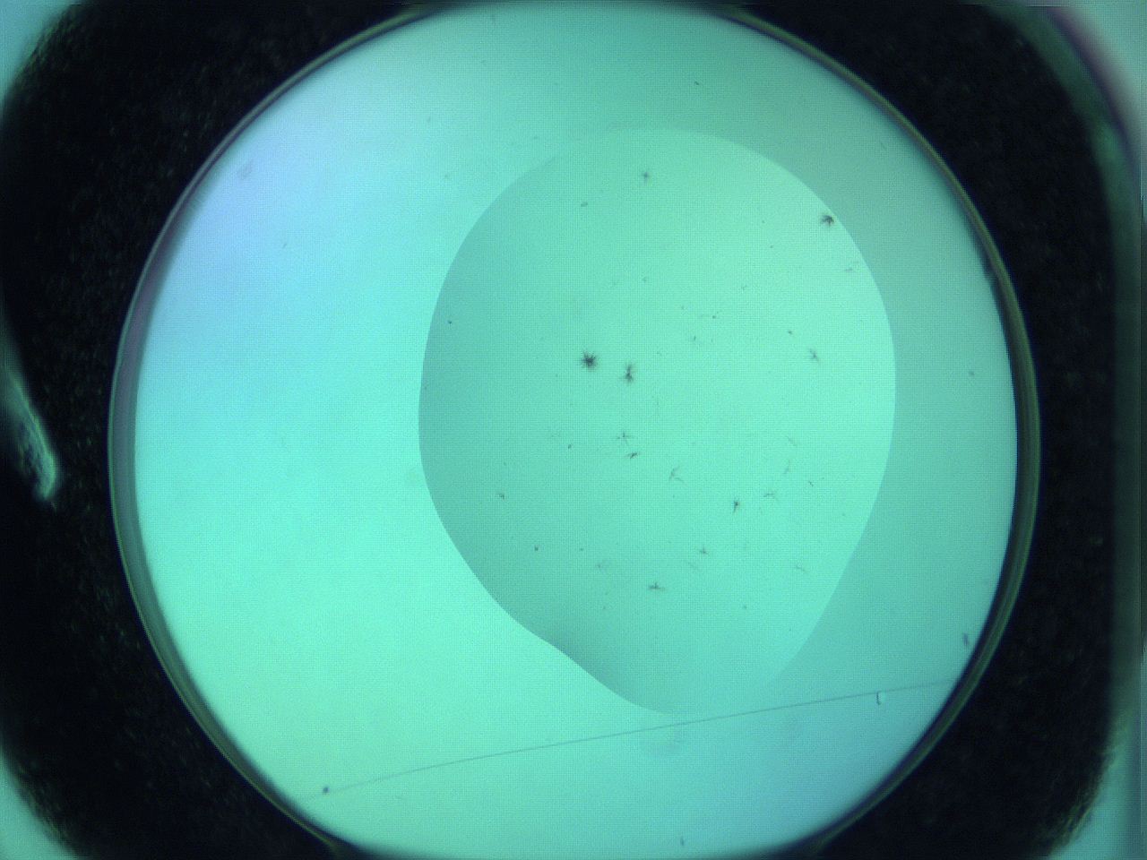 068o_A3_ImagerDefaults_7.jpg