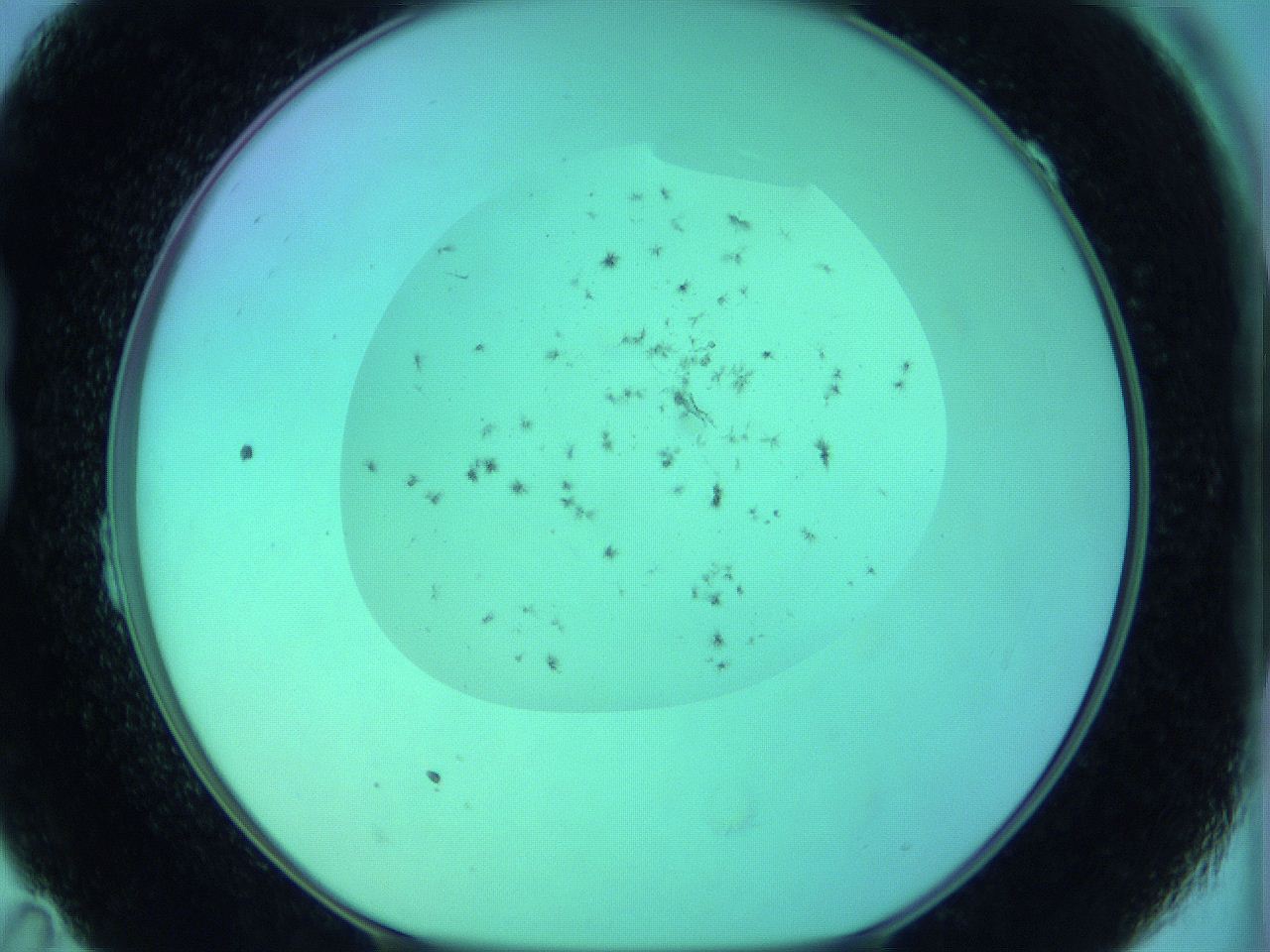 068p_B11_ImagerDefaults_7.jpg