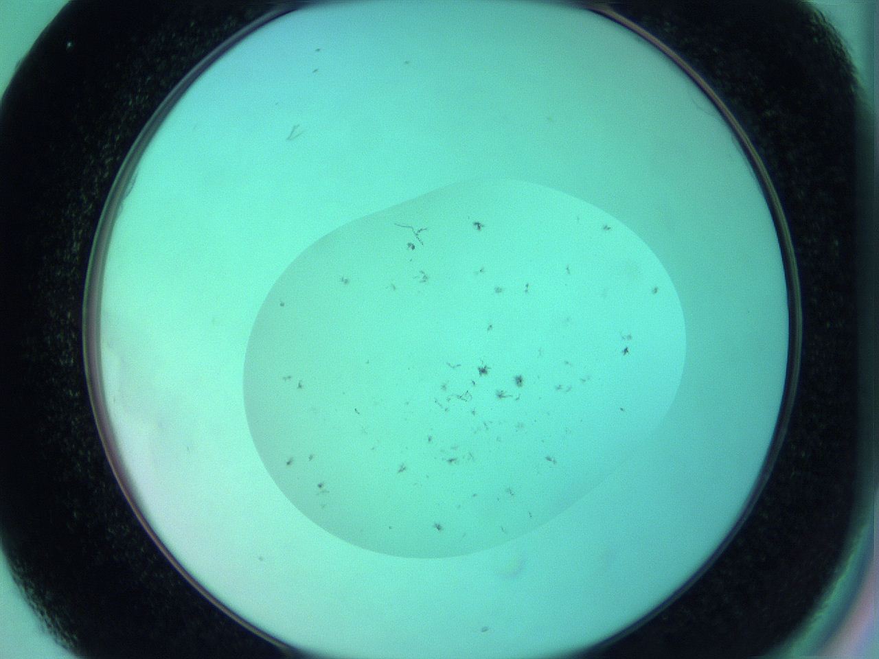 068p_C1_ImagerDefaults_7.jpg