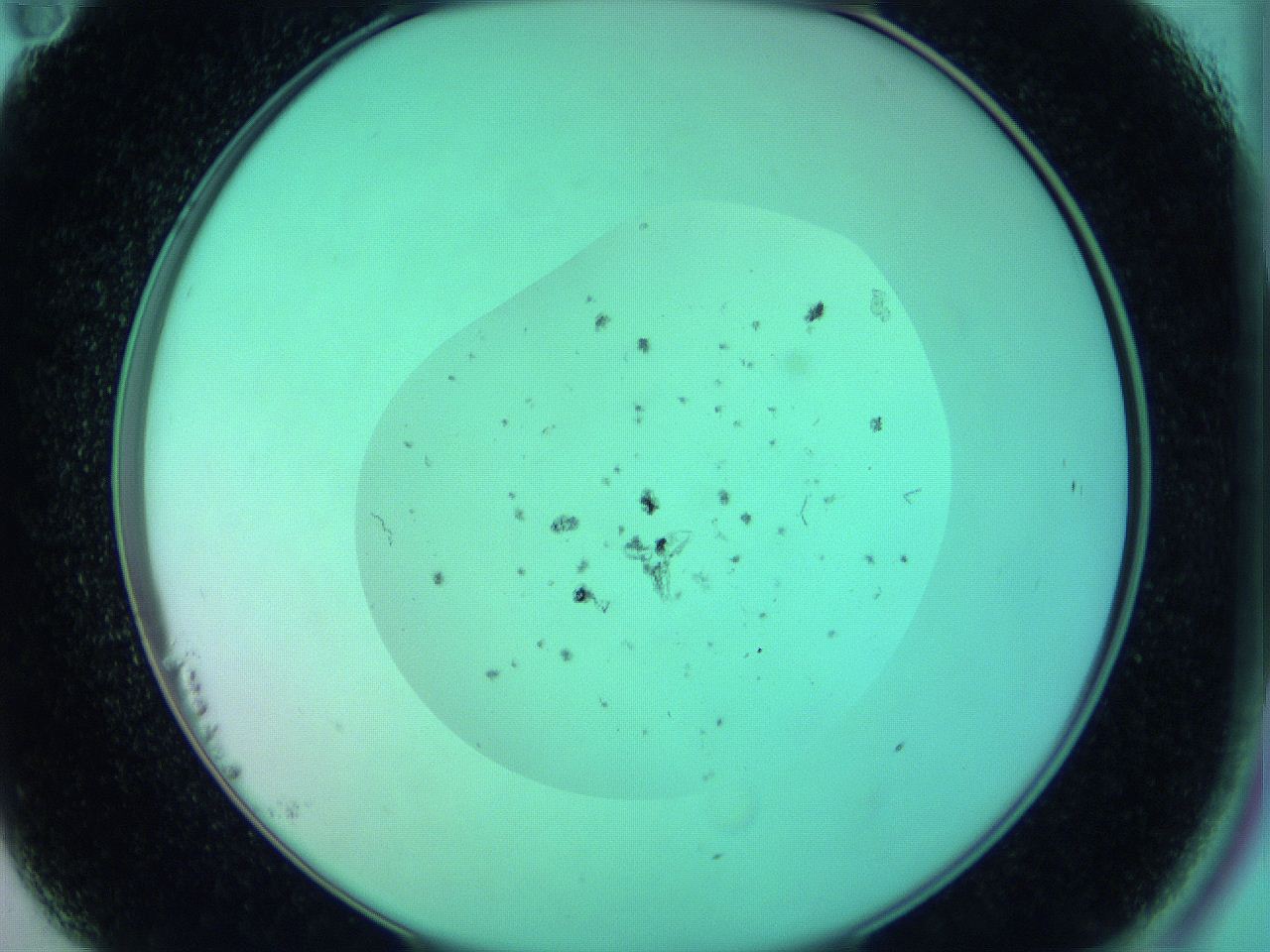 068p_B11_ImagerDefaults_6.jpg