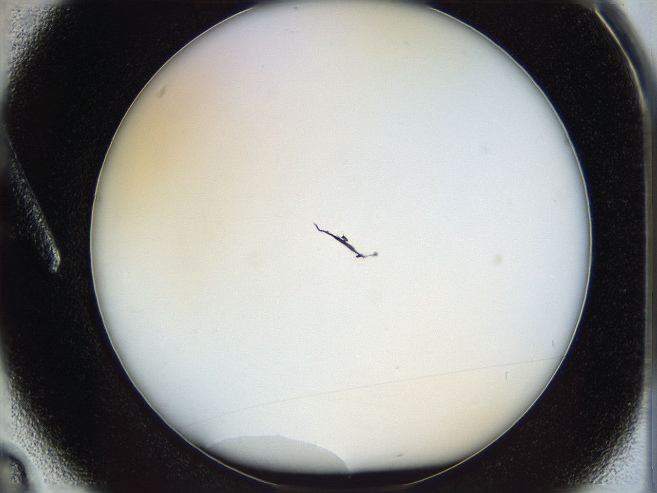 068s_A3_ImagerDefaults_0.jpg