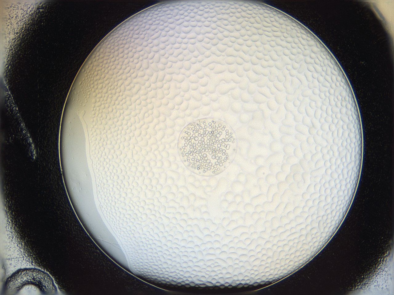 068s_A10_ImagerDefaults_5.jpg