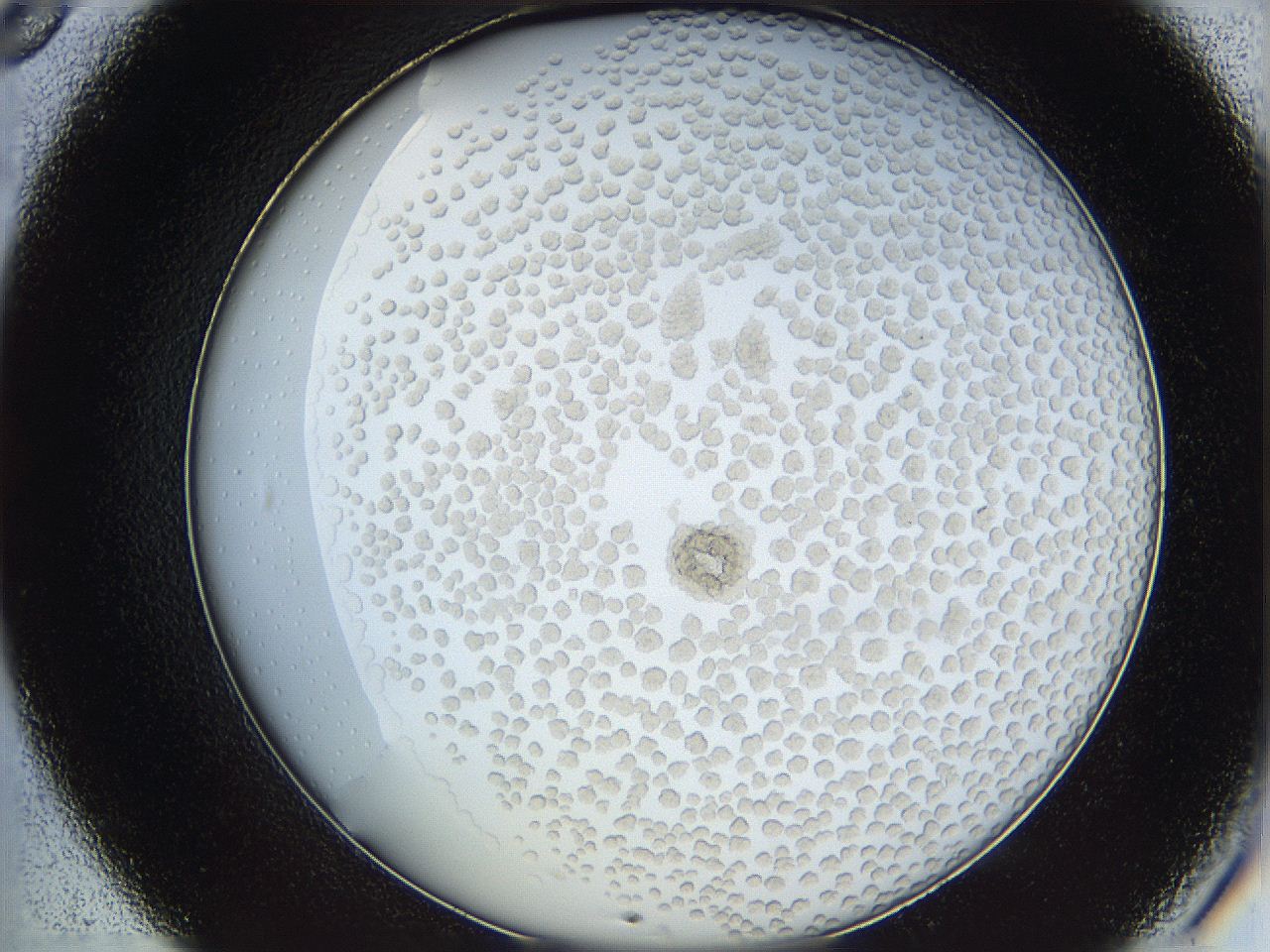 068s_B8_ImagerDefaults_5.jpg