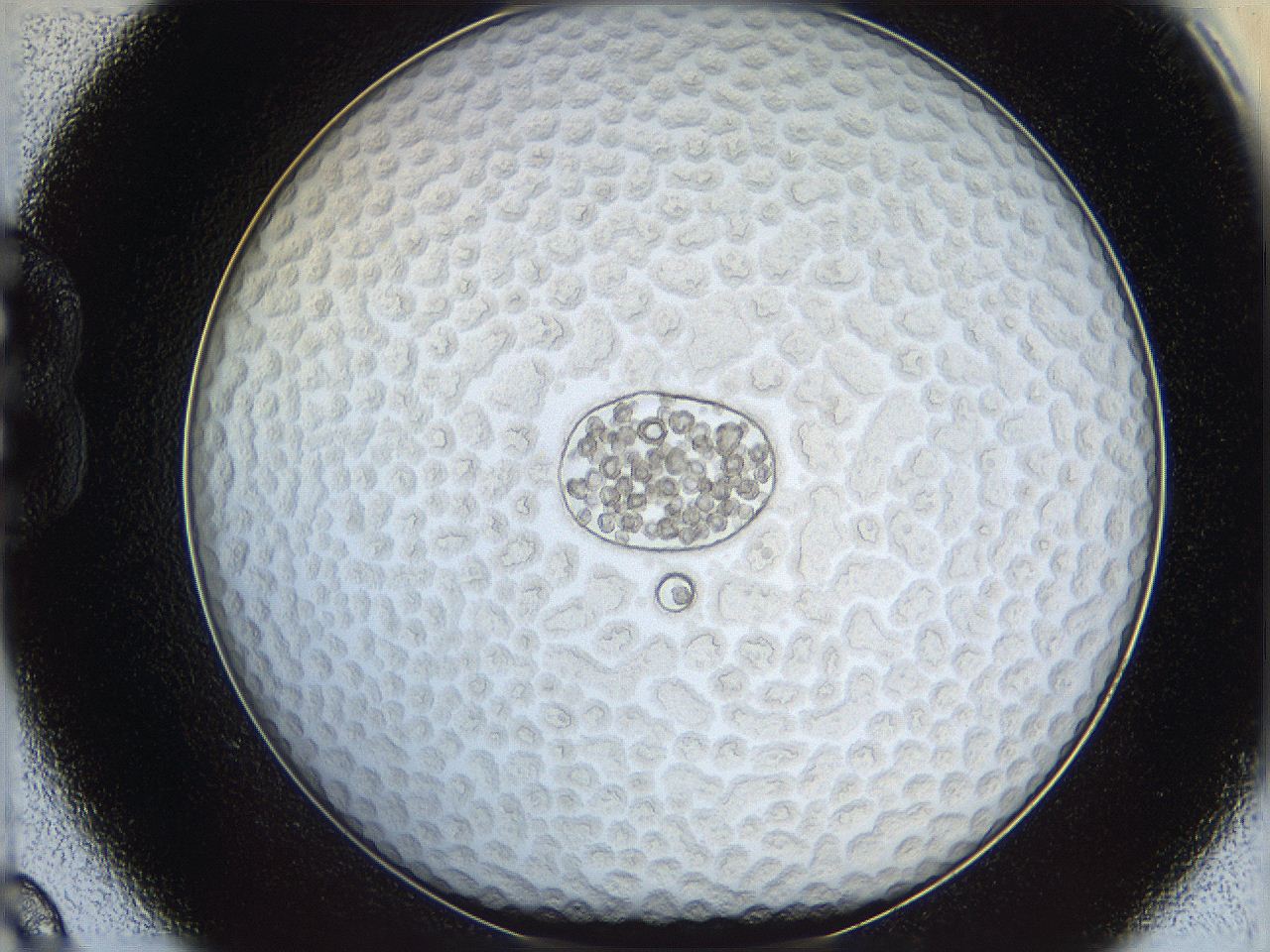 068s_B9_ImagerDefaults_6.jpg