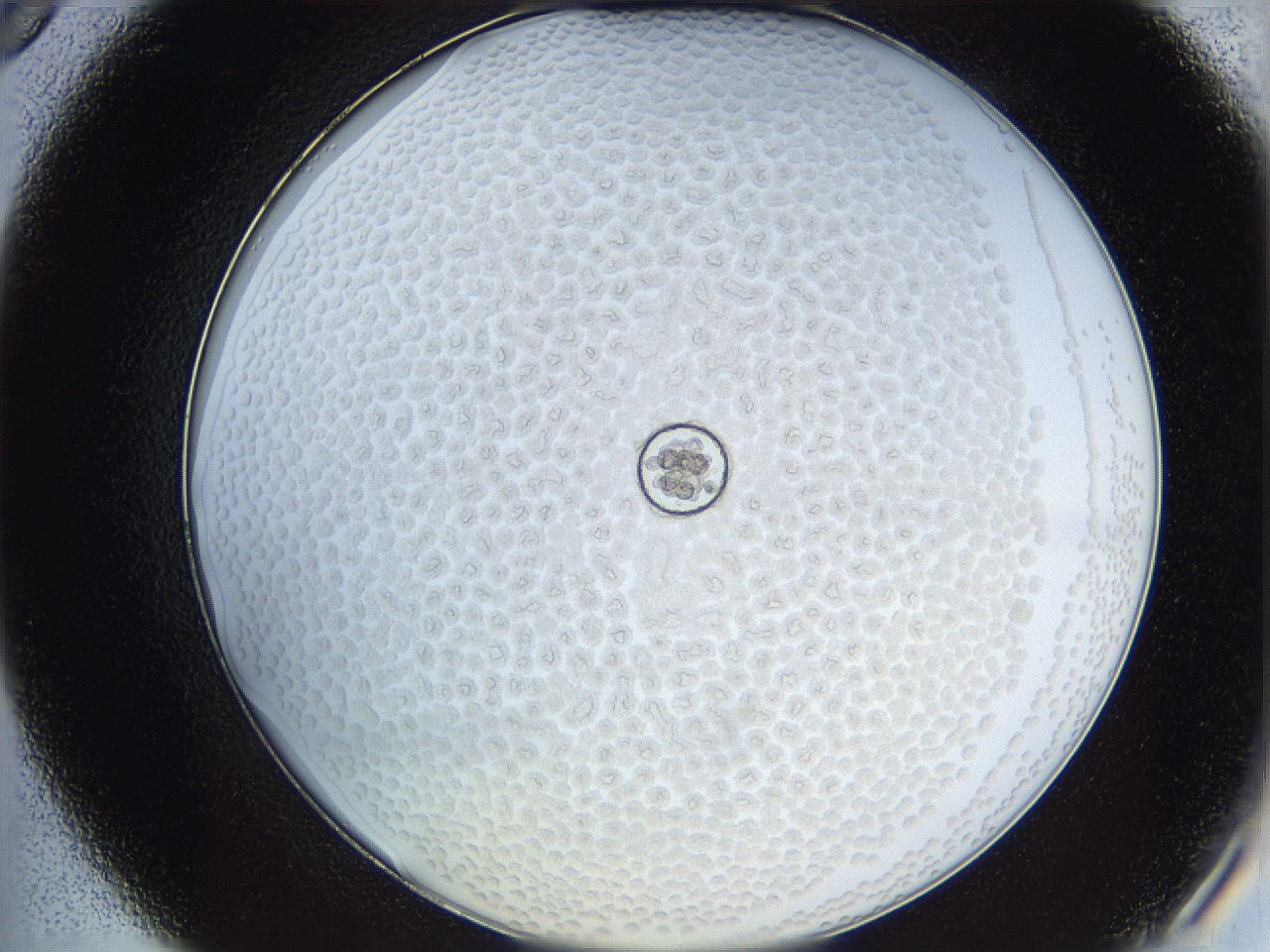 068s_B9_ImagerDefaults_5.jpg