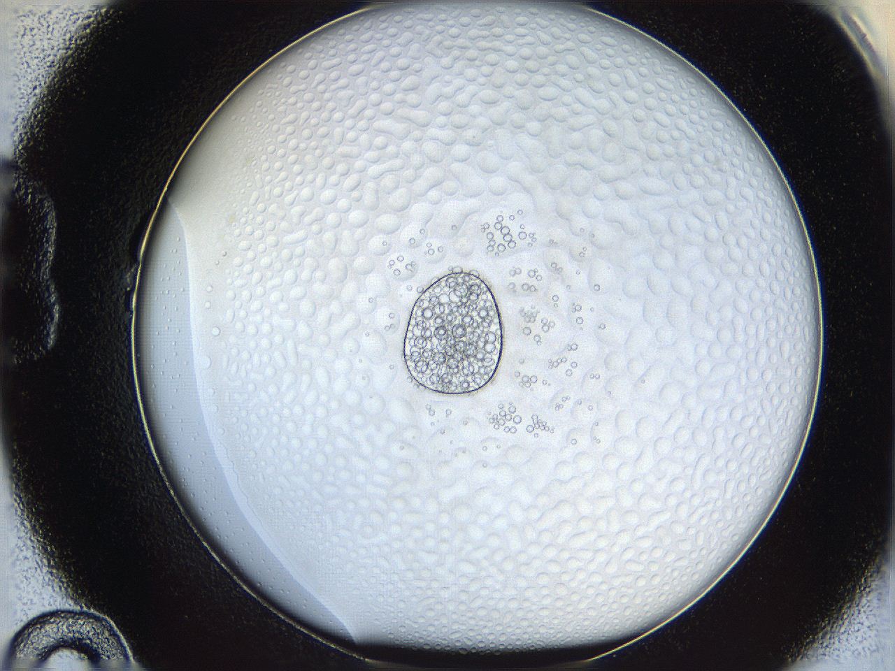 068s_B10_ImagerDefaults_5.jpg