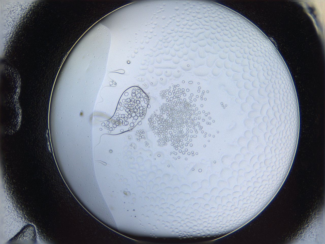 068s_B11_ImagerDefaults_5.jpg
